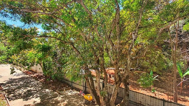 SMPW Quadra 28, PARK WAY, BRASILIA - Foto 30